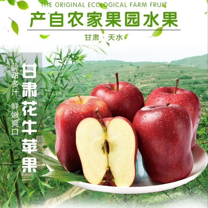 【盛正源推荐】高山花牛苹果精选脆甜新鲜快递精选买5斤送4斤多汁