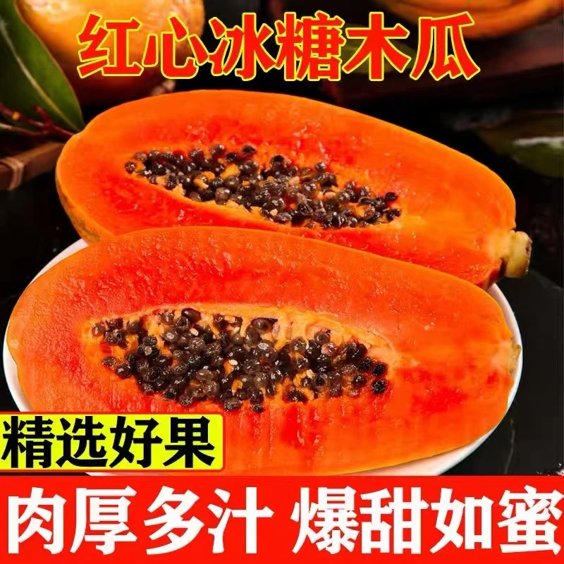 现摘云南木瓜新鲜水果应季冰糖红心木瓜西双版纳树上熟自然熟现摘