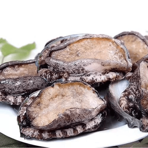 新鲜美味优质鲍鱼
