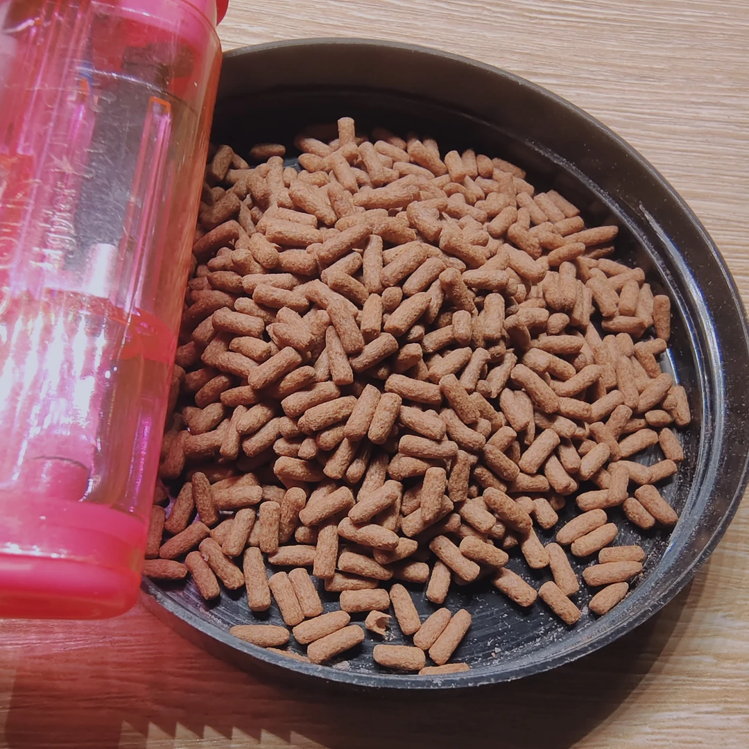 渔钻石散装增红蓝黄高蛋白饲料适用于各色系雷龙鱼助发色