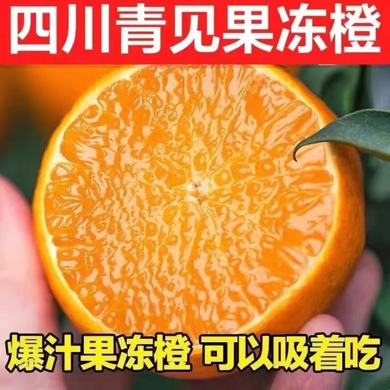 [舒局长助农专属] 四川青见果冻橙净重8斤现摘现发