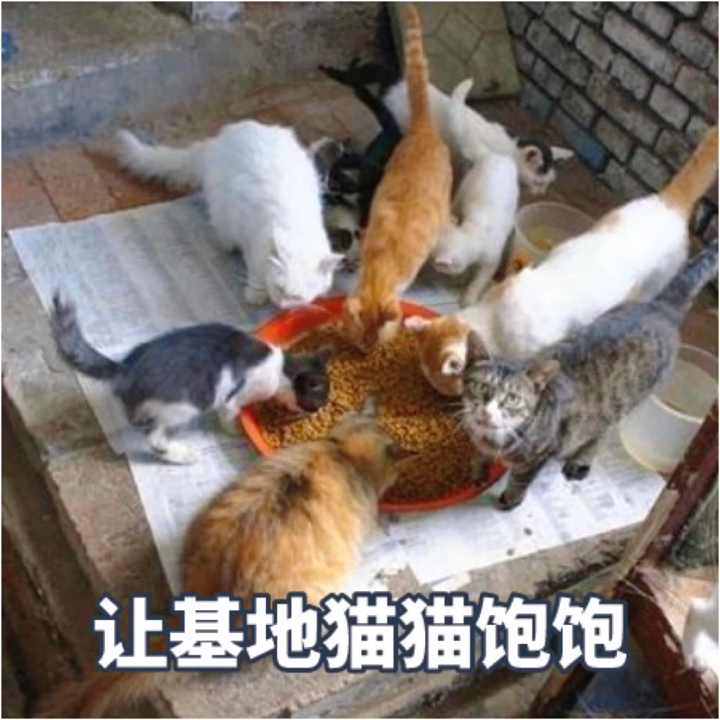 动物帮基地猫猫零食1kg-10kg