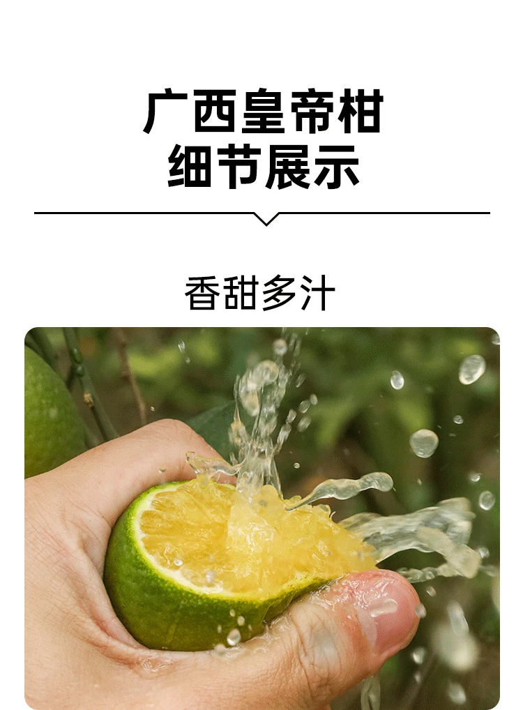 皇帝柑（又称贡柑）果肉细腻多汁，几乎无渣，口感清甜爽口