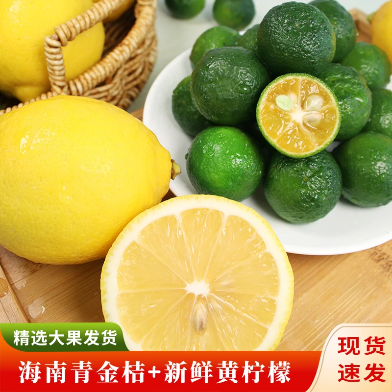 新鲜黄柠檬+小金桔/组合做水果茶  柠檬鸡爪 应季孕妇水果包邮