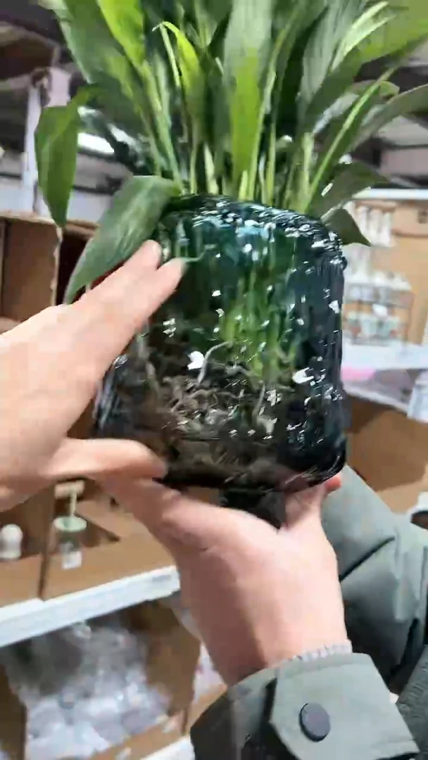 【闪购商品】方形花瓶