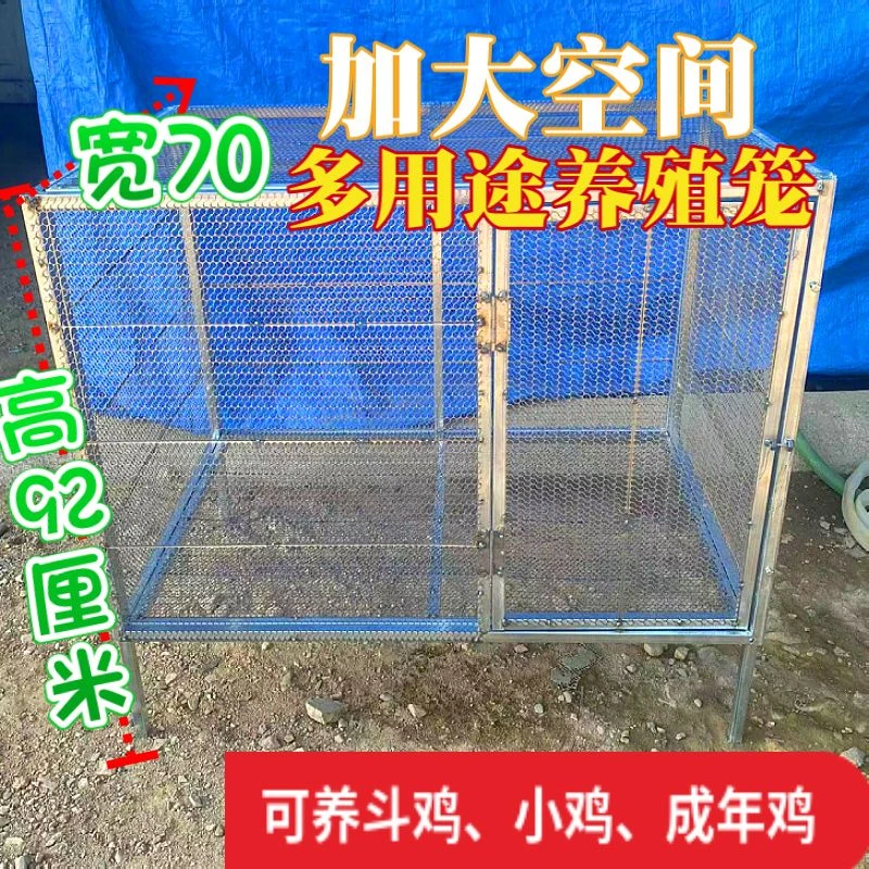 鸡笼家用型养殖加密鸡笼子防鼠防黄鼠狼防蛇链条钢网加厚加大设计