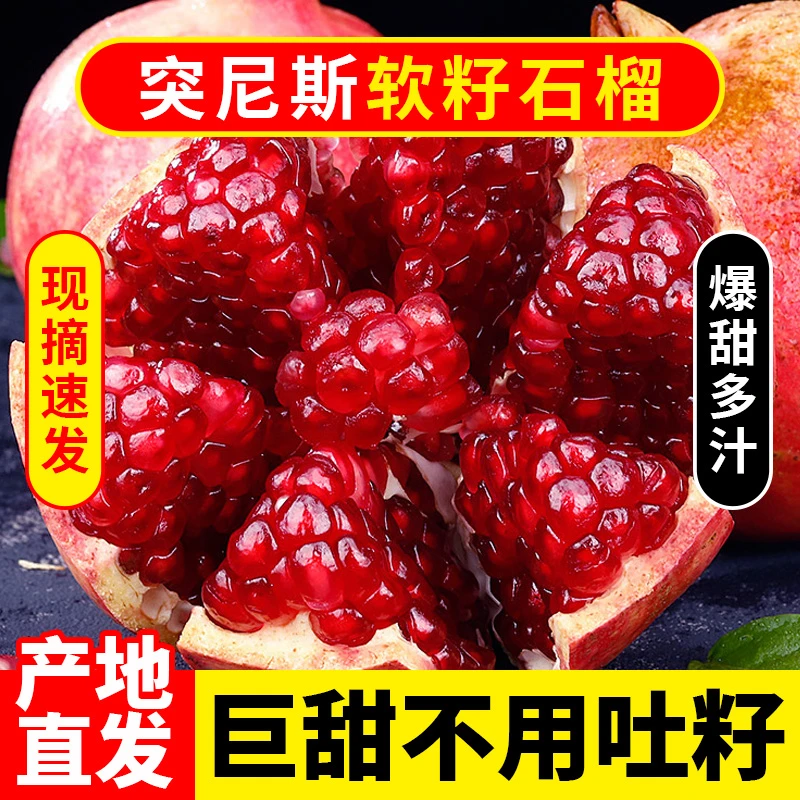 【京东包邮】四川会理突尼斯软籽石榴现摘现发新鲜水果坏果包赔