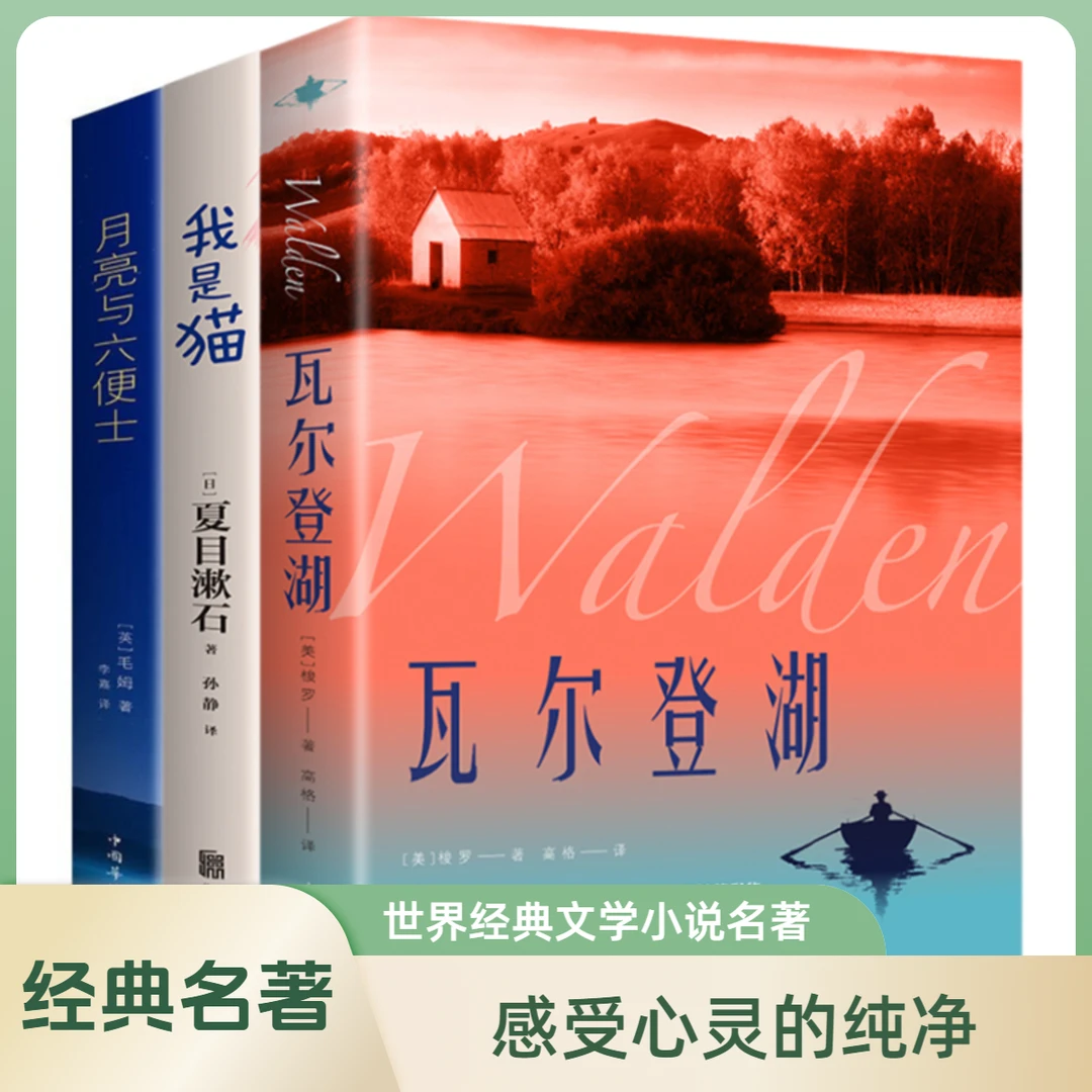 瓦尔登湖世界经典文学小说名著小王子飞鸟集泰戈尔诗畅销生活书籍