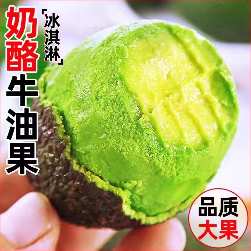 【旗舰品质】哈斯牛油果绵密软糯奶香香醇大果新鲜美味100-190g+