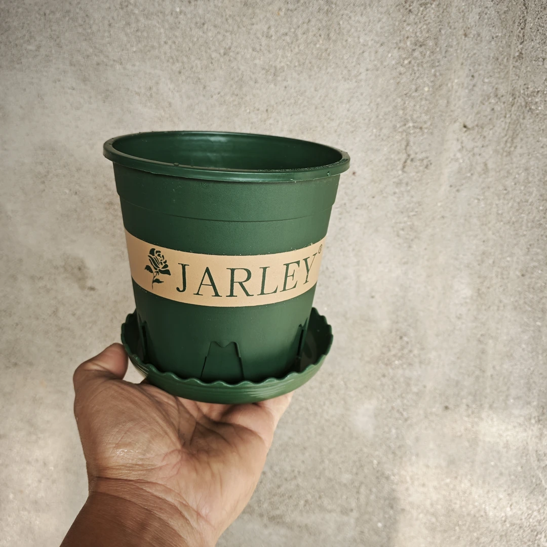 天津嘉利绿色加仑控根花盆，带托盘。