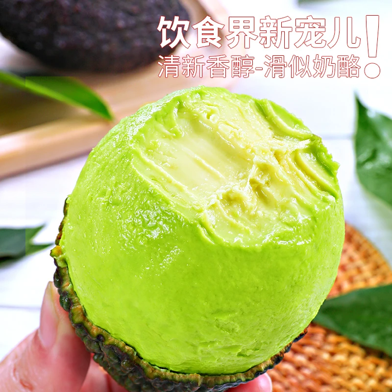 【丝滑绵密】云南哈斯牛油果新鲜水果鳄梨巨无霸牛油果7个装