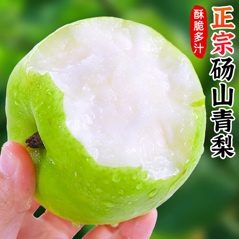 【酥脆多汁】正宗砀山青梨4斤约5-9个装翠冠梨子新鲜水果坏果包赔