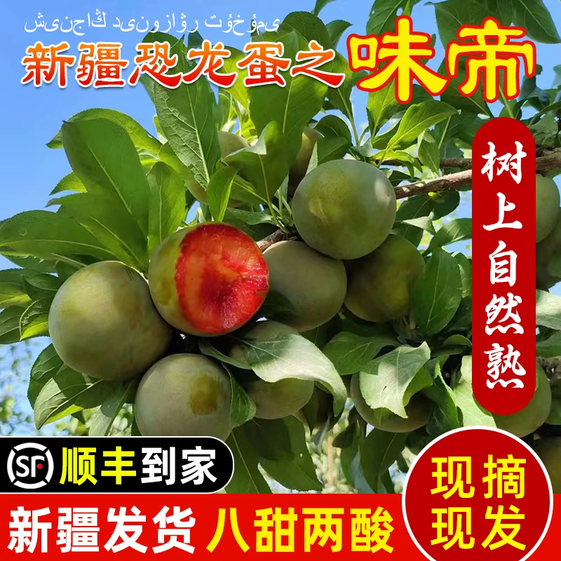 【顺丰空运】新疆恐龙蛋味帝李子2-3斤单果约50g+脆李sss