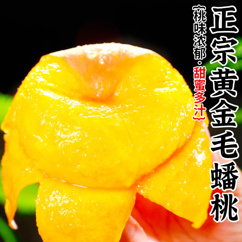 【甜蜜多汁】黄金毛蟠桃4斤约7-12个新鲜扁桃子坏果包赔