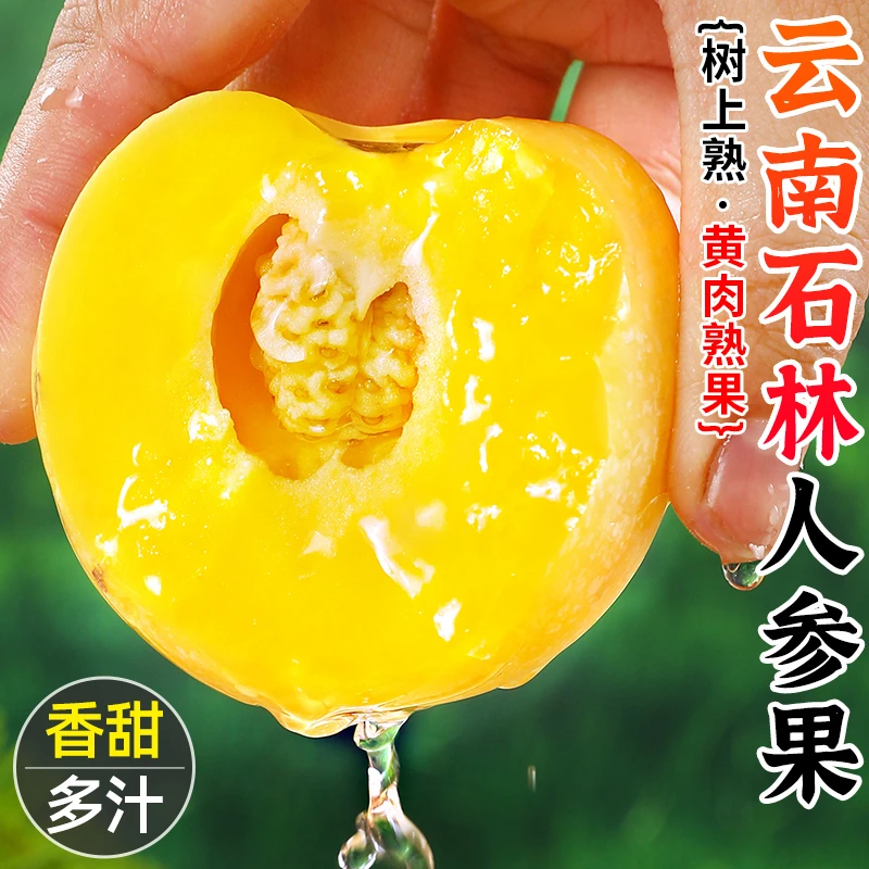 【香甜多汁】云南石林人参果4.5-5斤单果50-80g树上熟人参果