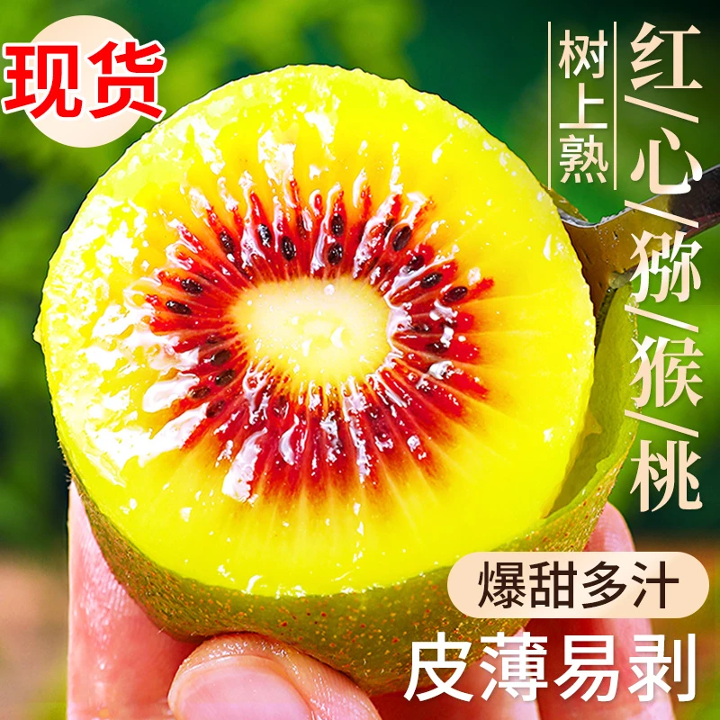 【催熟食用】四川蒲江红心猕猴桃6-30枚红心奇异果新鲜水果应季包邮