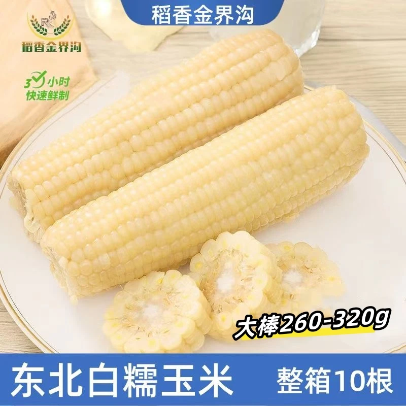 饭香【试吃一根】铝箔大白糯玉米8根 香甜大棒260g
