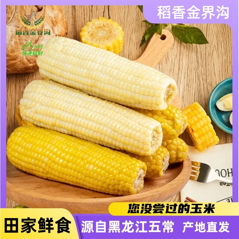 金界沟【五常田家鲜食】黄白糯玉米230-300g*8支香甜味道代餐粗粮