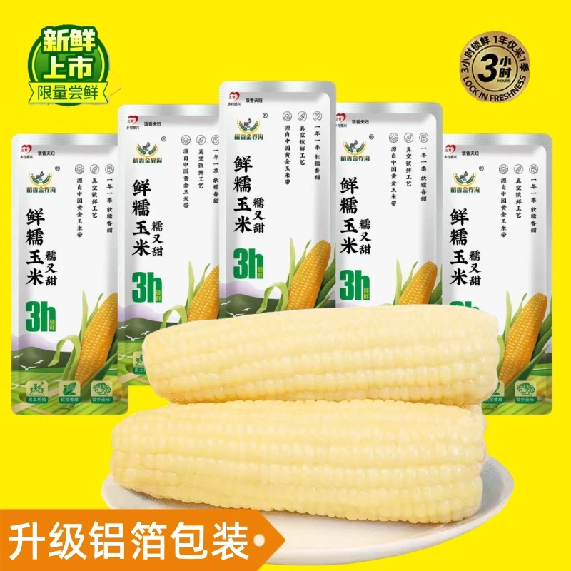 饭香【试吃一根】铝箔袋五常大白糯玉米10根 大棒280-320g/根零添加