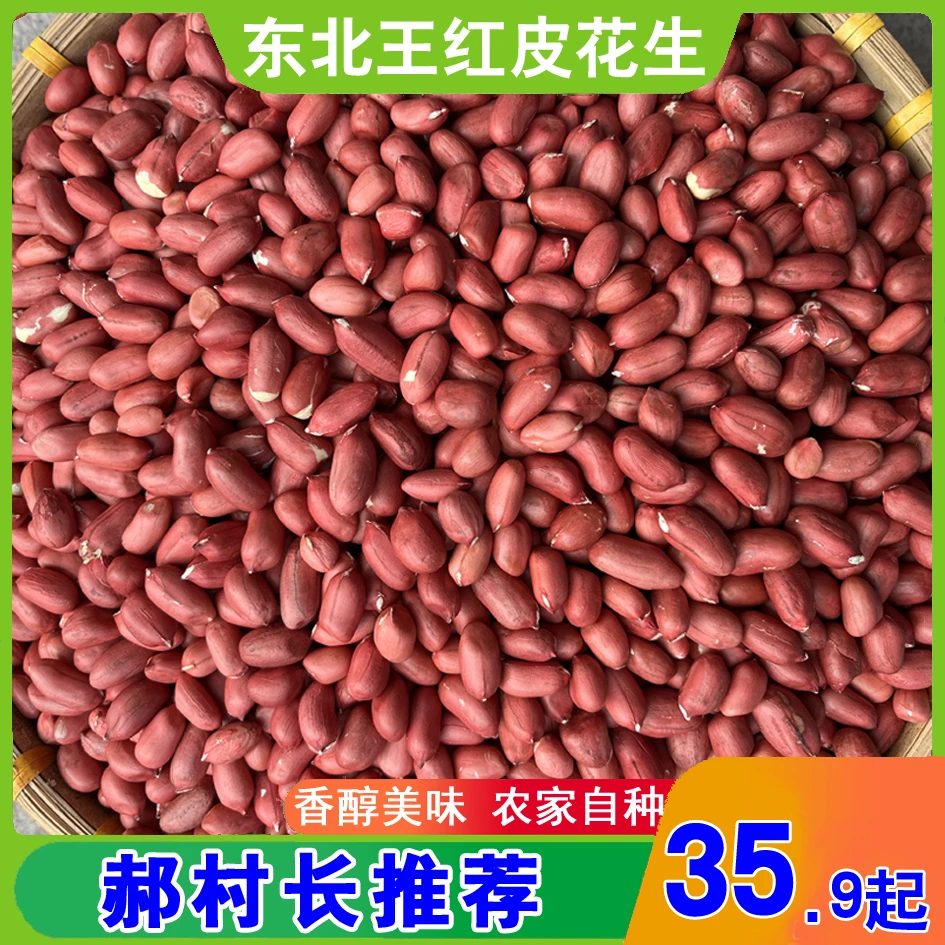 长白山东北王红花生500g/包邮红皮花生自种天然饱满