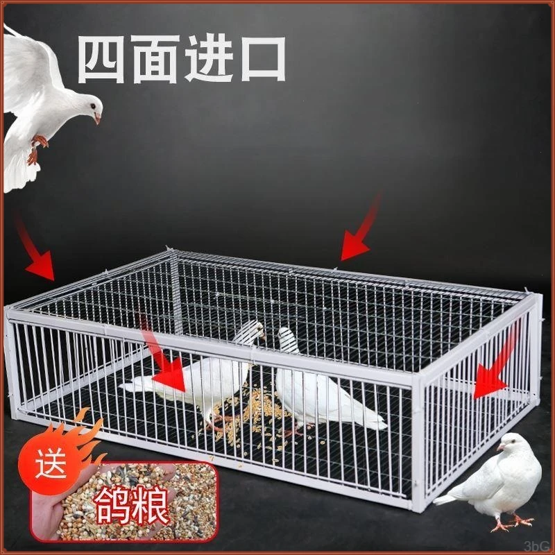 鸽笼抓鸡神器鸽子家用家禽回收笼神器子喂鸡兔子老鼠鸭子鹅笼