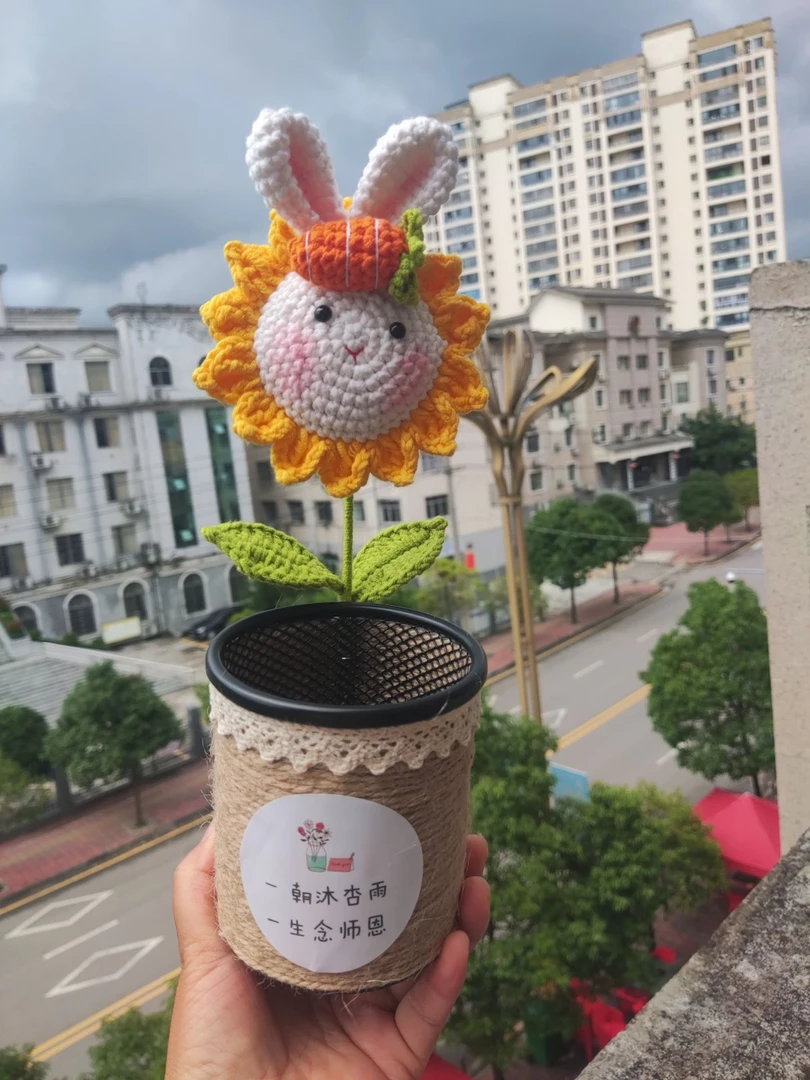 麦子手工毛线钩织成品兔子向日葵笔筒教师节礼物手工diy