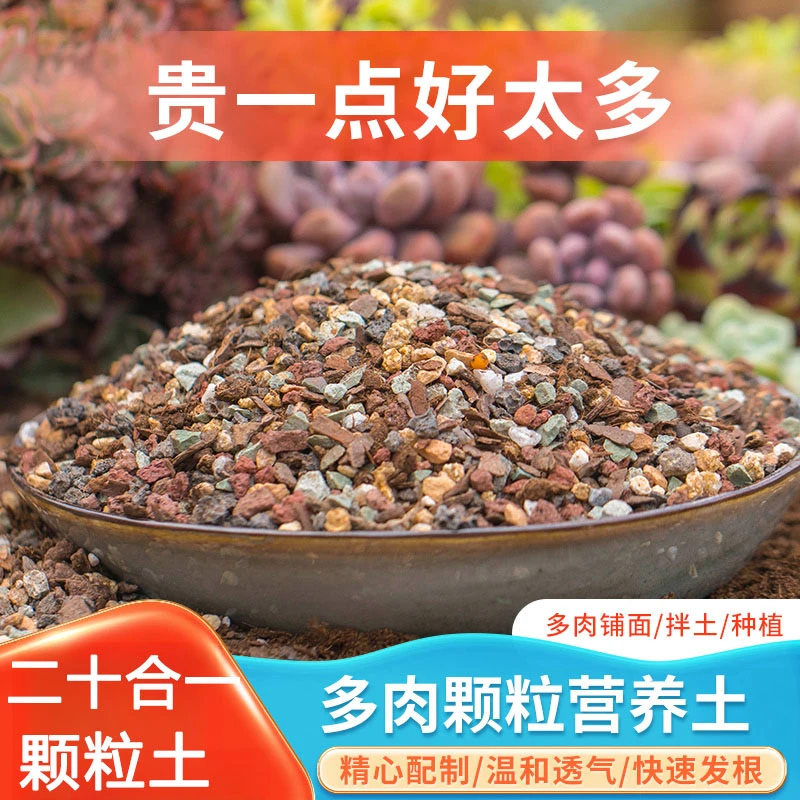二十合一多肉土专用颗粒土60%70%营养土进口泥炭种植土船长花园