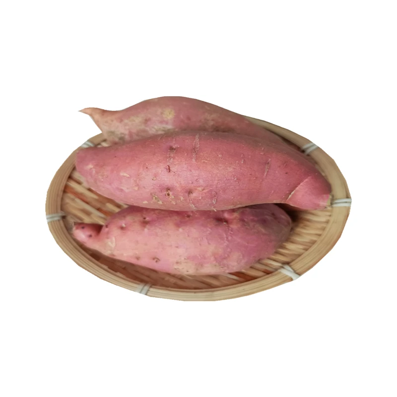 虎咬瓜九斤优选新鲜地瓜