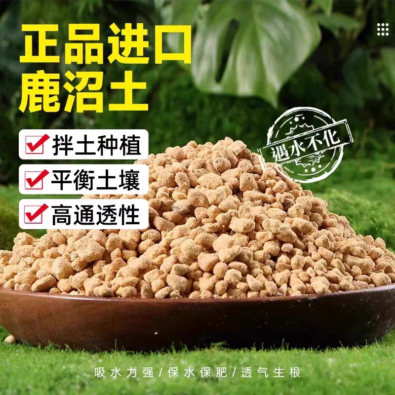 散装鹿沼土多肉植物兰花茶花杜鹃花月季营养土铺面石硬质酸性土