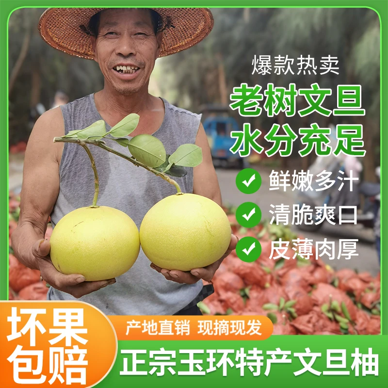 正宗玉环文旦柚产地直销老树4-50斤果兄瓜妹新鲜水果酸甜水分鲜嫩