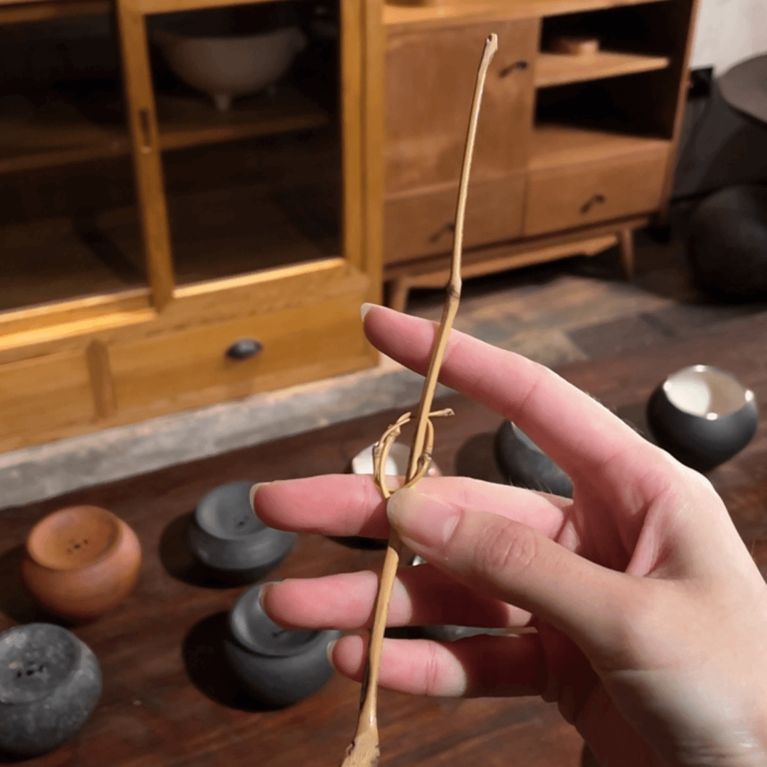 【闪购商品】陶瓷陶瓷