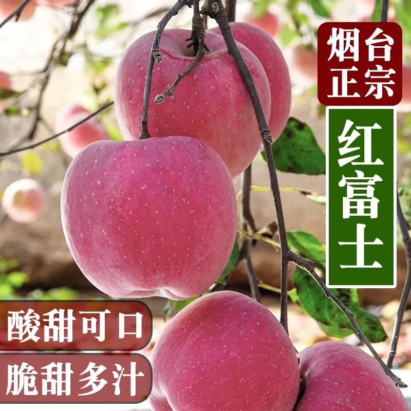 山东烟台红富士苹果整箱高品质条纹片红脆甜多汁酸甜可口YL