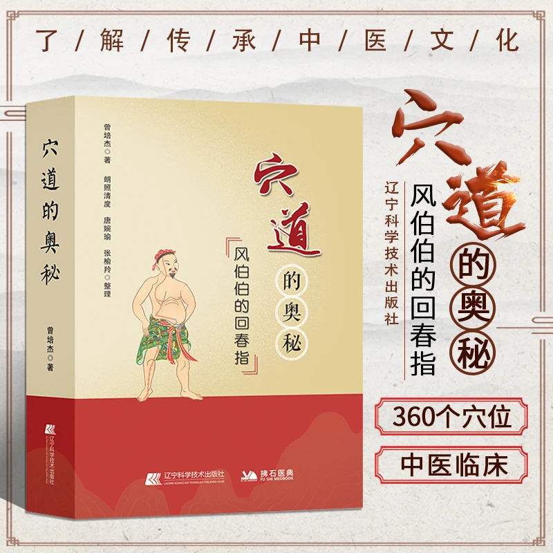 穴道的奥秘风伯伯的回春五脏元气中医调理养生点穴位按摩推拿书籍