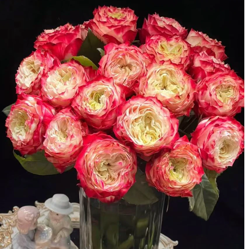 【彩花驿站】苹果杰克（直播间展示为准/10％损耗无售后介意勿拍）