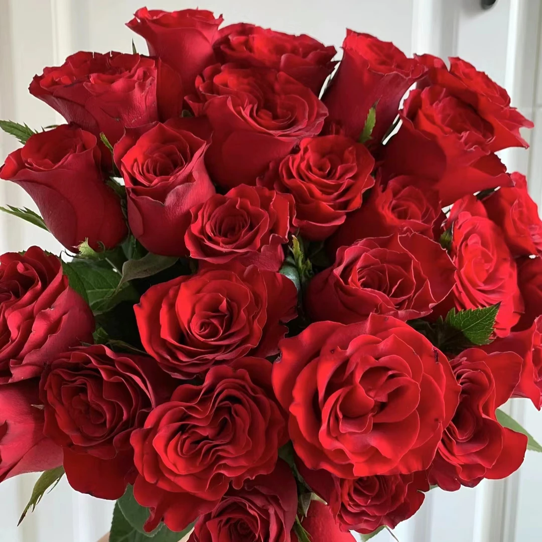 【彩花驿站】高原红玫瑰（直播间展示为准/任意两单升级冷链快递）