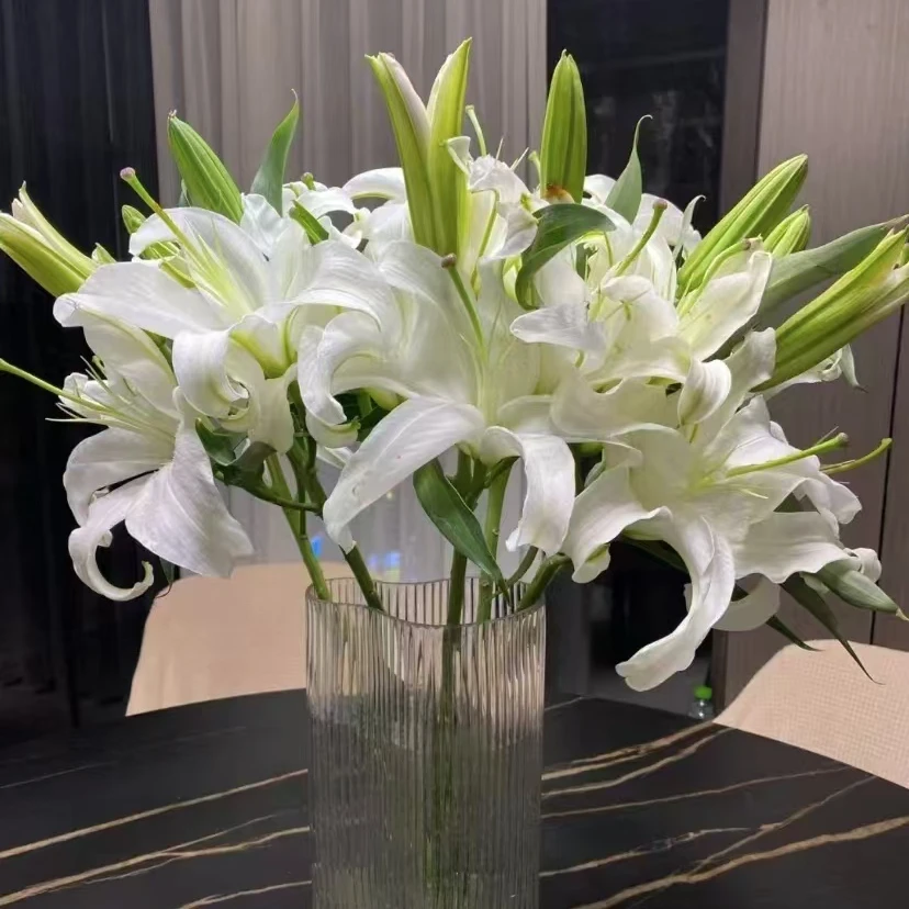 【彩花驿站】西伯利亚百合（3头/15个花苞/一单包邮）