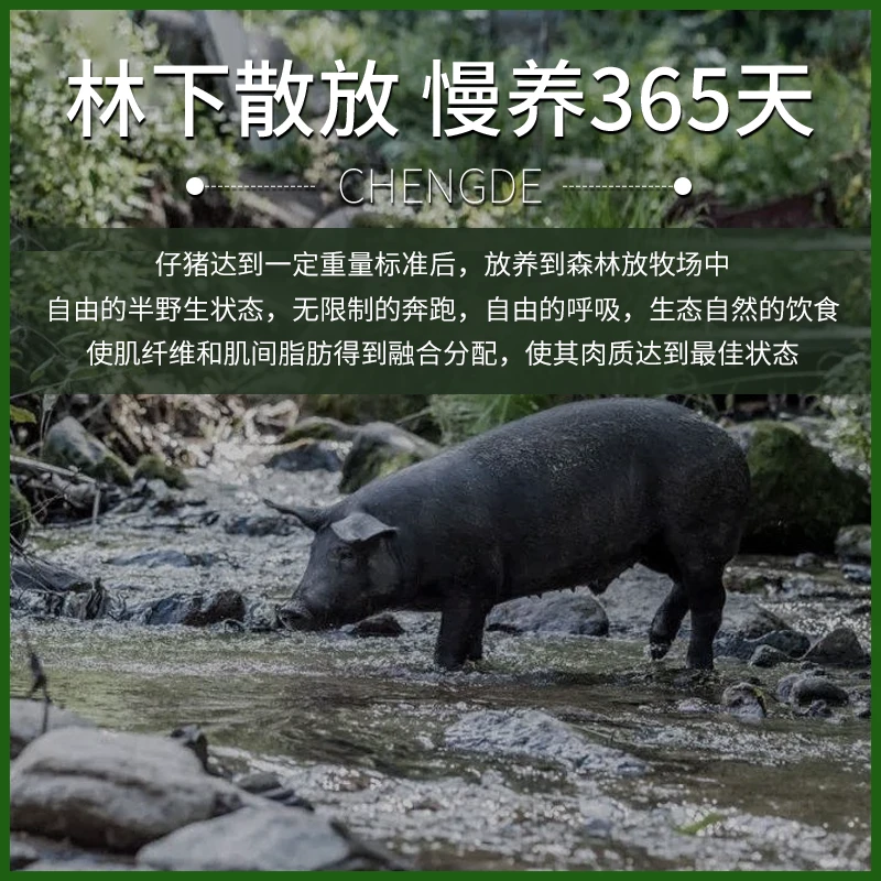 新鲜有机散养生态黑猪肉净含量1斤前腿肉500g