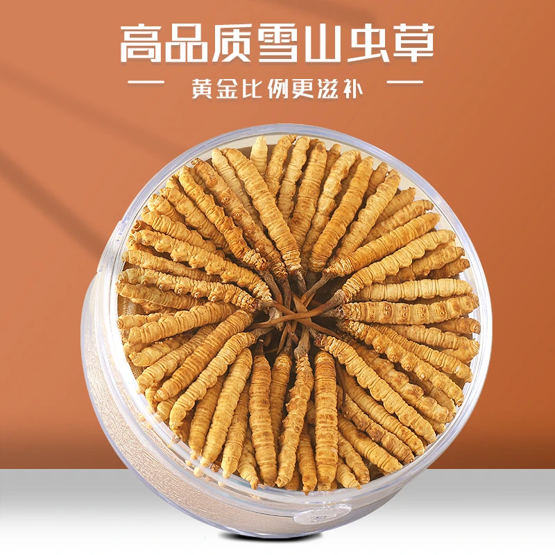 2025头期虫草正品冬虫夏草 虫草滋补品干货泡酒送礼