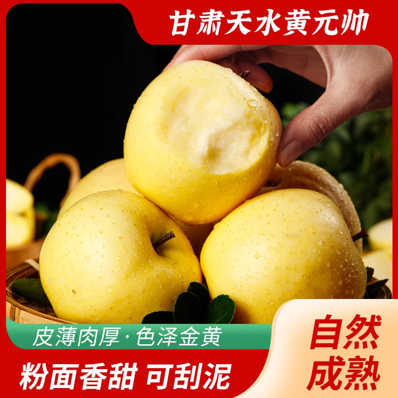 甘肃·秦安-黄元帅产地直发