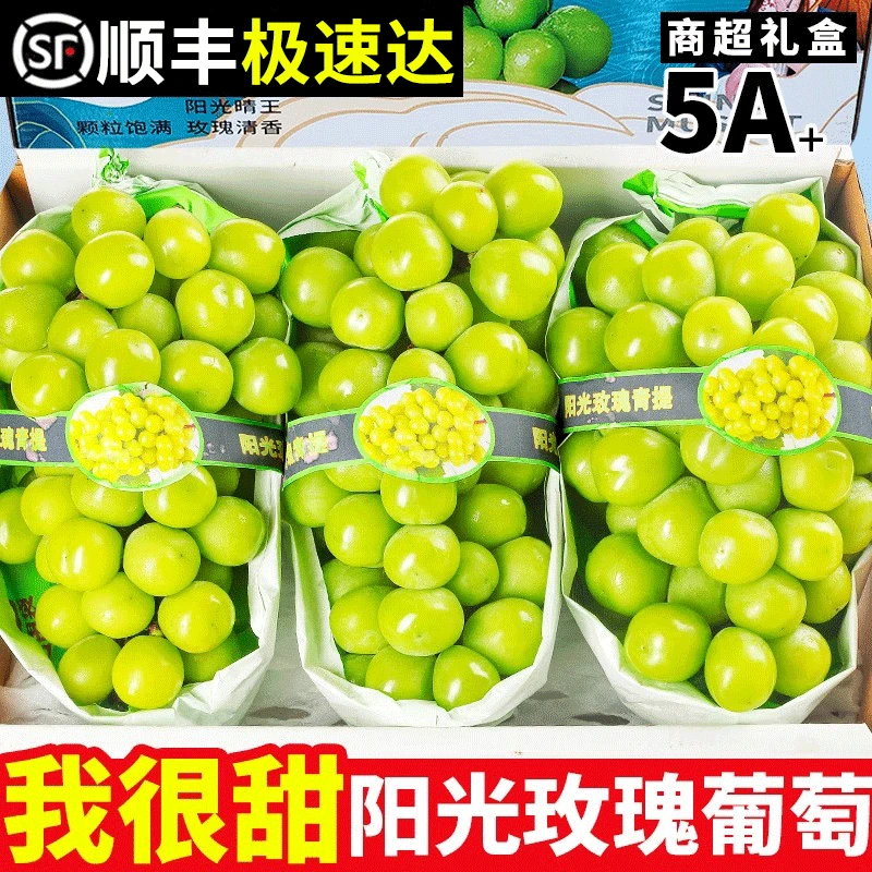 【顺丰包邮】阳光玫瑰葡萄晴王新鲜无籽香印青提水果礼盒应当季整箱
