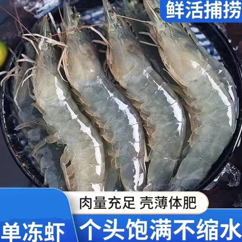 连云港发货   盐冻大虾    14到16厘米   3斤/盒