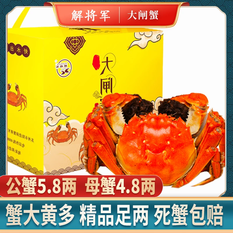 【活蟹】【解将军牌】苏州精品大闸蟹 公蟹5.8两 母蟹4.8两 （6/8）只