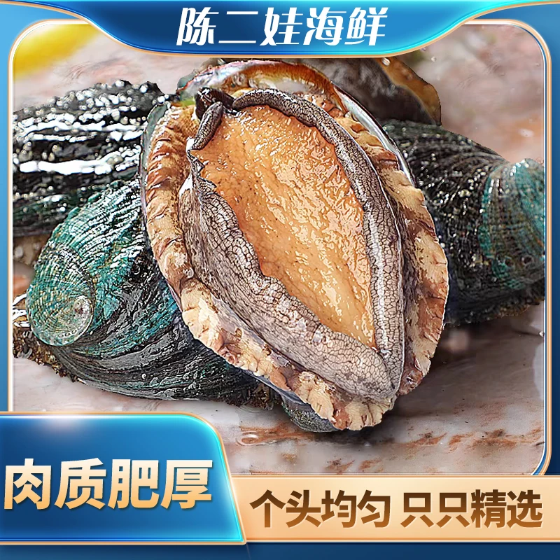 （鲜活）鲍鱼（按只）