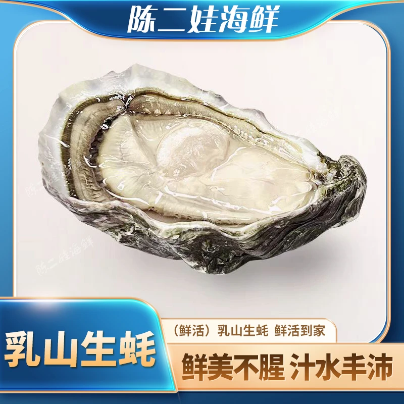 （鲜活）乳山生蚝（500g）