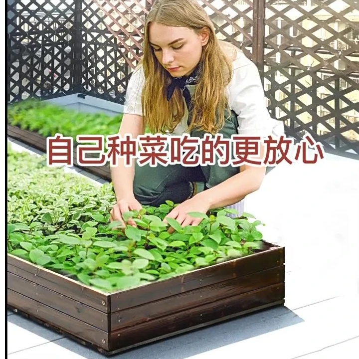 防腐木花箱户外庭院阳台种菜神器家庭蔬菜种植箱楼顶长方形木花盆
