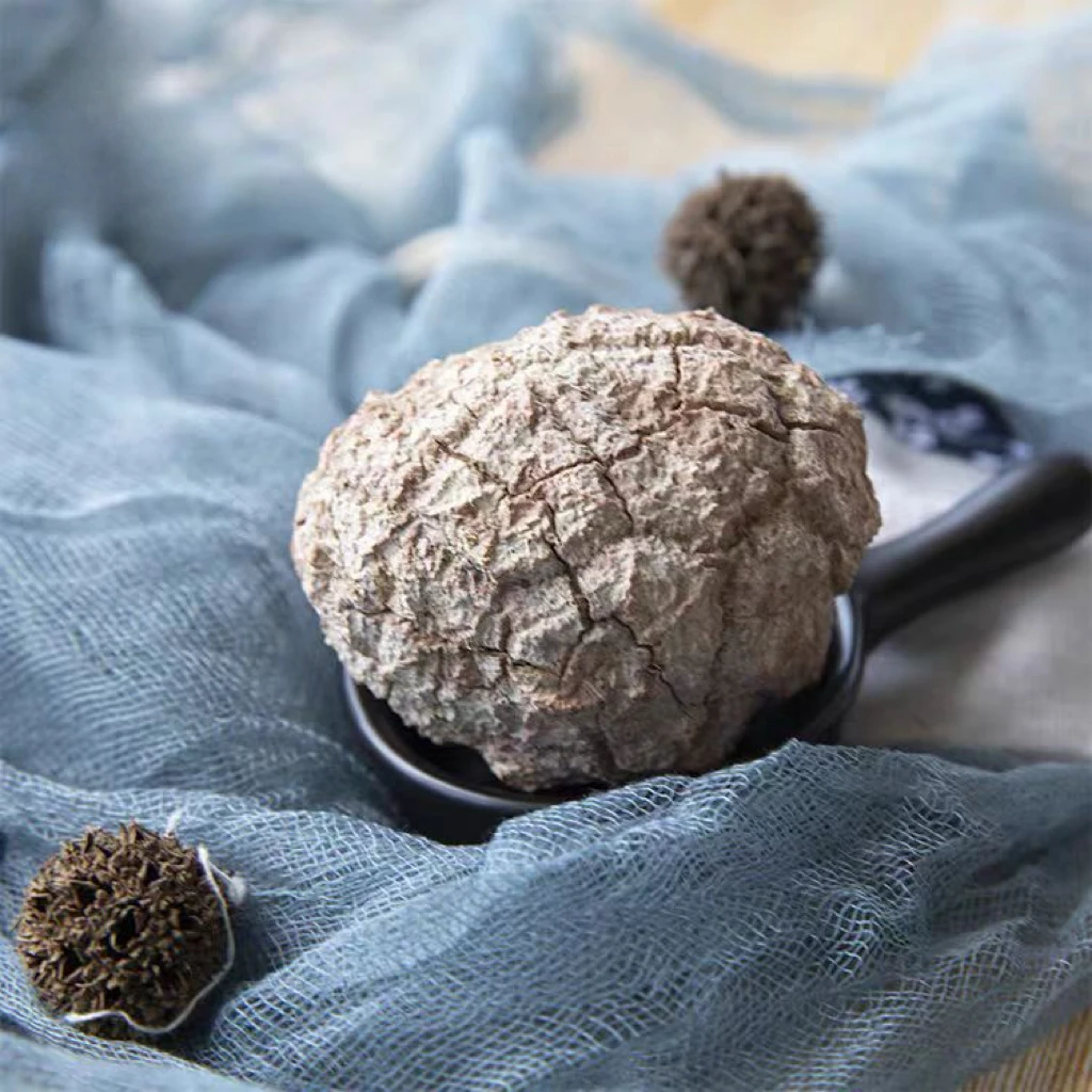 【濠妈专属】天然虎奶菌250g虎乳菌虎奶菇