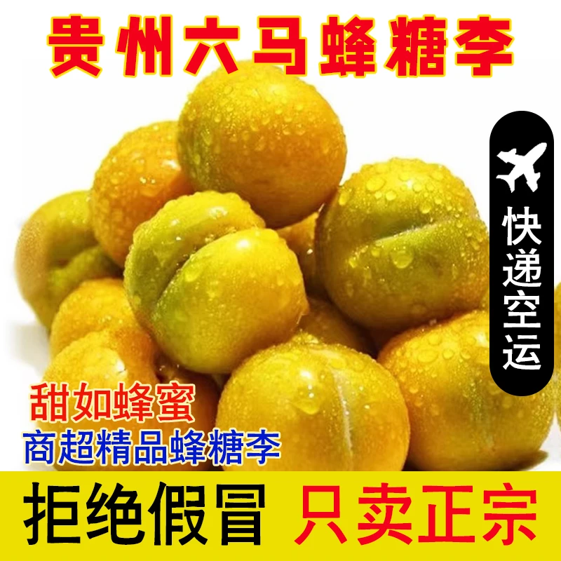 贵州正宗精品六马多汁脆爽甘甜蜂糖李顺丰空运5斤包邮到家品质