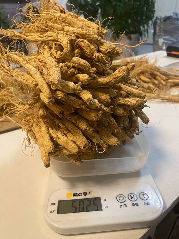 ZOCI长白山人参低残参低农残略有瑕疵不影响食用泡酒泡水煲汤滋补