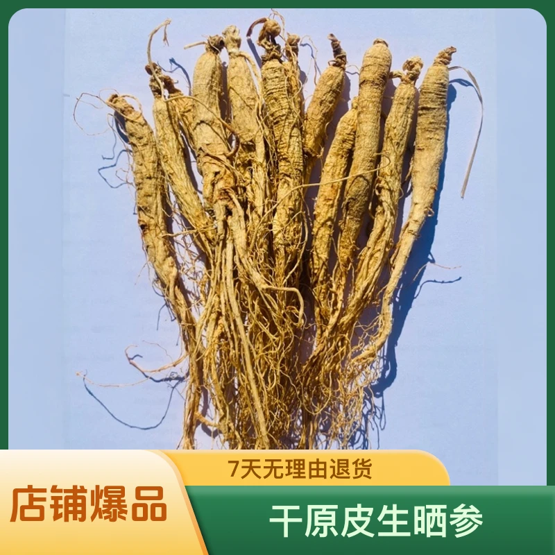 ZOCI长白山人参4克左右精挑优质生晒参泡水泡酒煲汤滋补佳品
