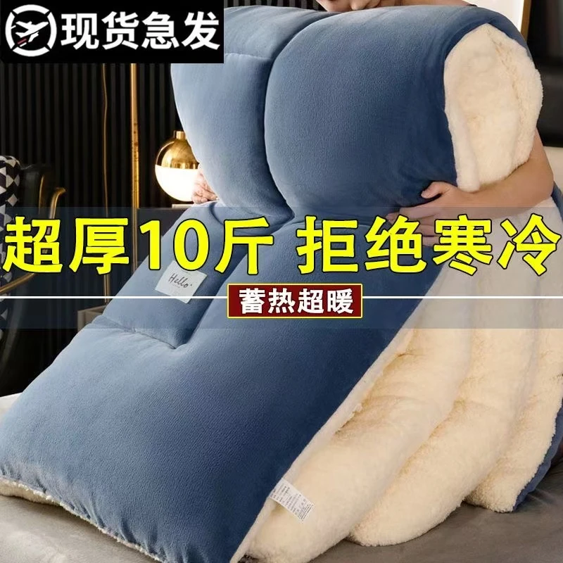 冬季羊羔绒被子冬被加厚塔芙绒被褥保暖牛奶绒棉被学生宿舍加绒